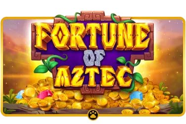 betwinner